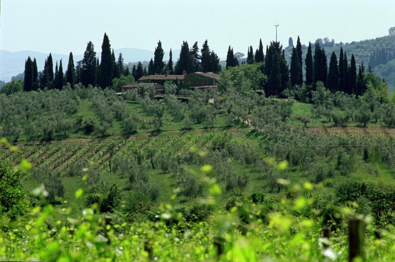 Fattoria Casa Sola Affittacamere Barberino di Val dʼElsa Esterno foto