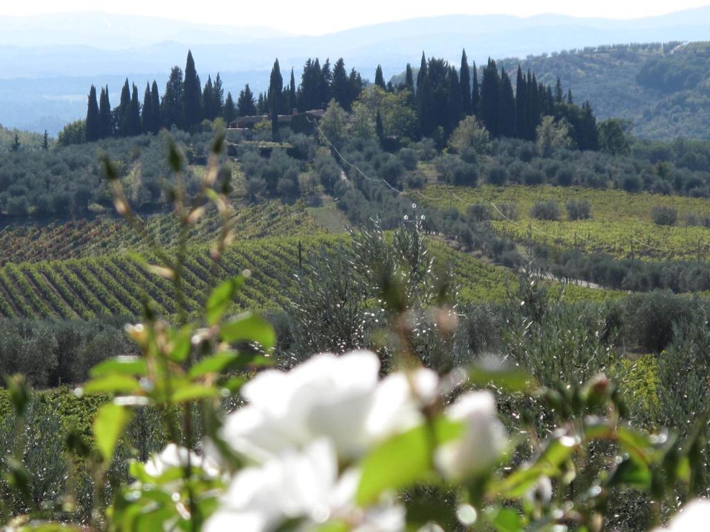 Fattoria Casa Sola Affittacamere Barberino di Val dʼElsa Camera foto